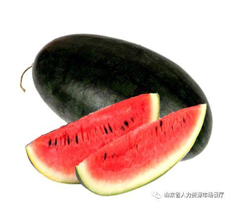 黑瓜吃料正能量入口,开启快乐生活新篇章