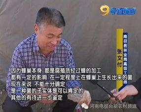 陈祎吃瓜黑料,揭秘娱乐圈背后的真相